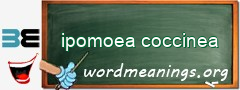 WordMeaning blackboard for ipomoea coccinea